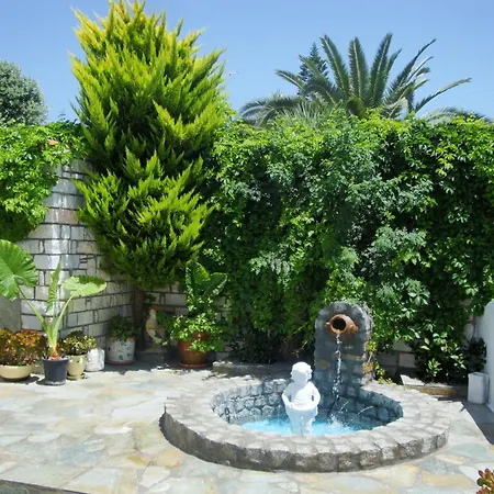 Vassiliki باروس