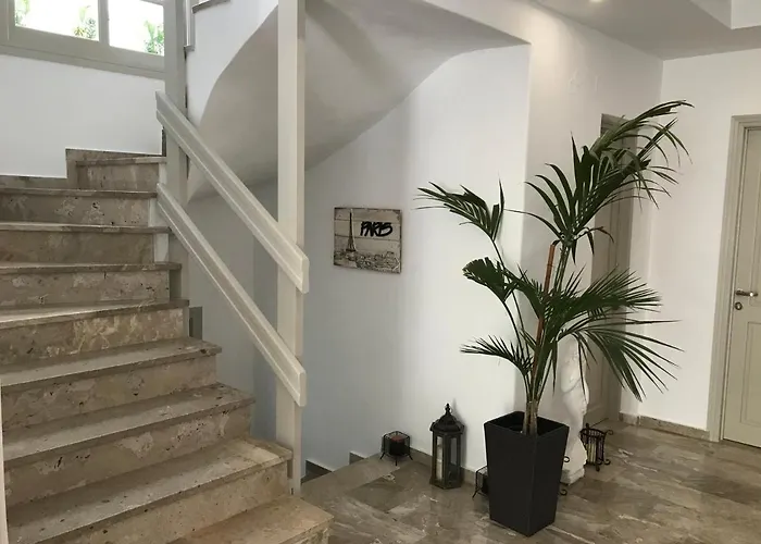 Vassiliki باروس