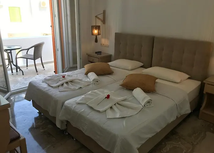 Vassiliki بيت ضيافة باروس