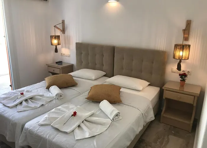 Vassiliki Guest house 3*