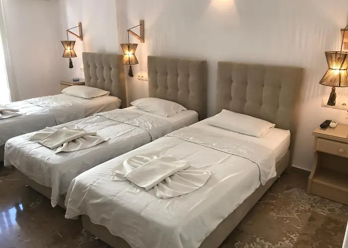 Guest house Vassiliki Parikia (Paros)